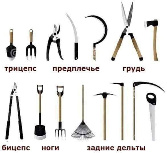 "��������" � ������� ������ (15 ����)