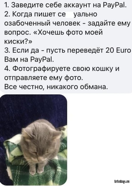 "��������" � ������� ������ (15 ����)