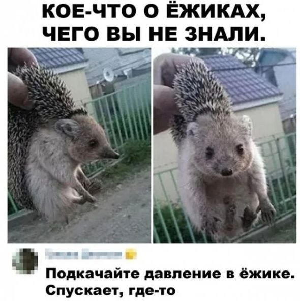 ������� ����������� � ������ � ���������� ����� (13 ����)