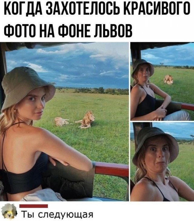 ������� ����������� � ������ � ���������� ����� (13 ����)