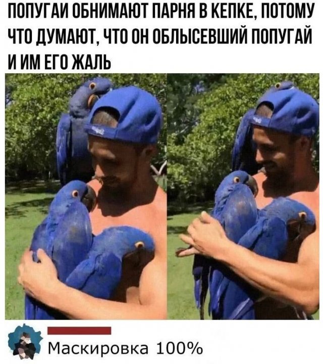 ������� ����������� � ������ � ���������� ����� (13 ����)