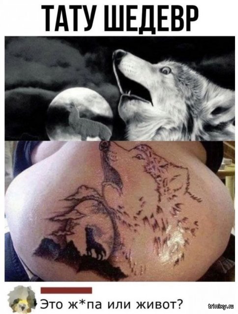 ������� ����������� � ������ � ���������� ����� (13 ����)