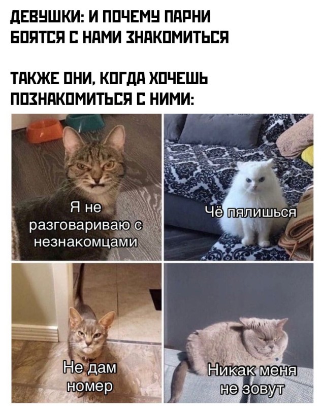 �������� ���������� ���� �2699 (30 ����)