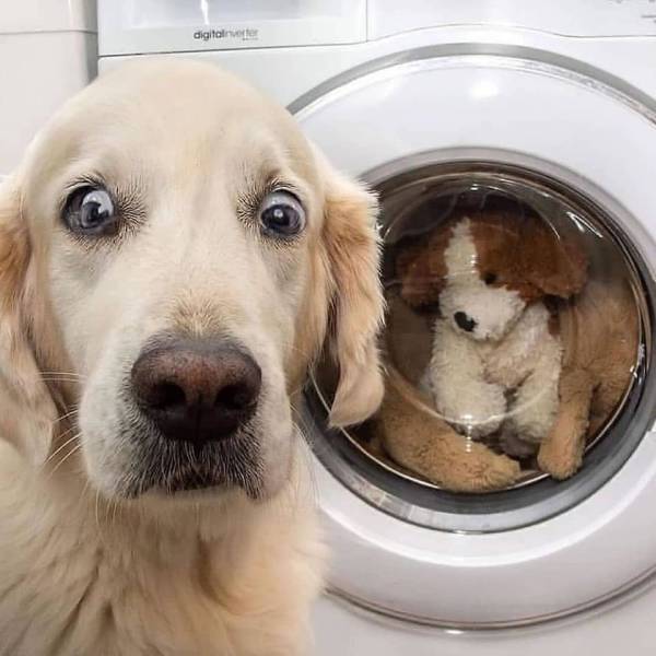 �������� ���������� ���� �2699 (30 ����)