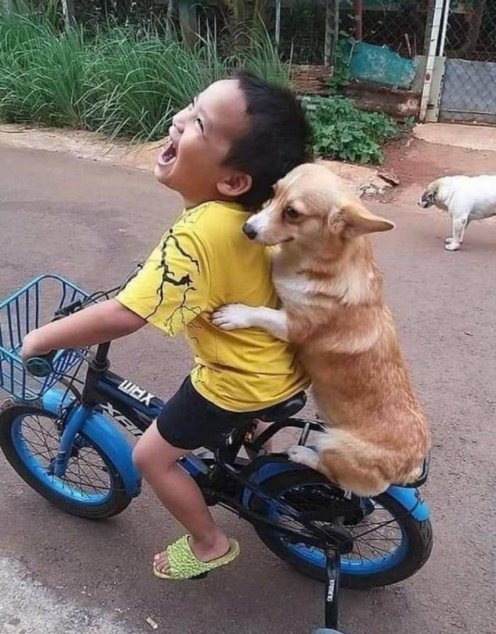 �������� ���������� ���� �2699 (30 ����)