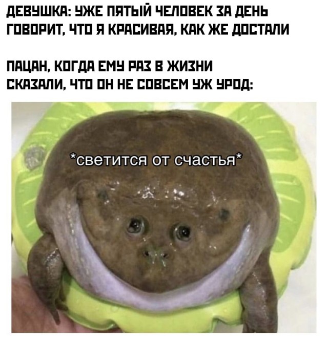 �������� ���������� ���� �2705 (30 ����)