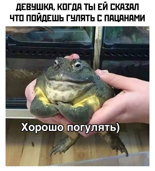 Подборка прикольных фото №2724 (30 фото)