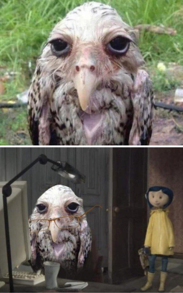 �������� ������, ������� ����� ����������� �������-������� (16 ����)