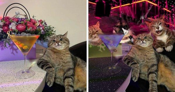 �������� ������, ������� ����� ����������� �������-������� (16 ����)