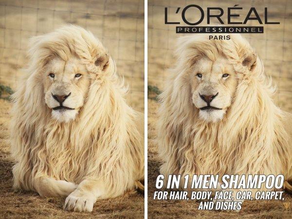 �������� ������, ������� ����� ����������� �������-������� (16 ����)