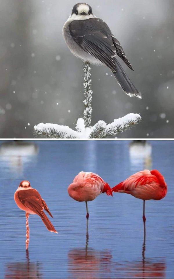 �������� ������, ������� ����� ����������� �������-������� (16 ����)