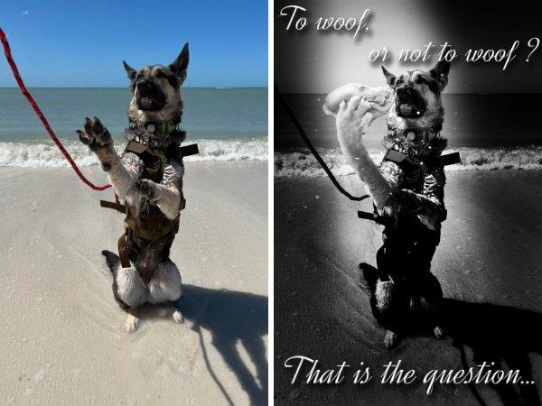 �������� ������, ������� ����� ����������� �������-������� (16 ����)