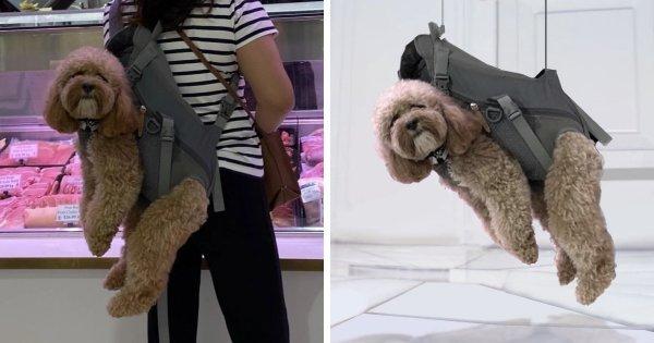 �������� ������, ������� ����� ����������� �������-������� (16 ����)