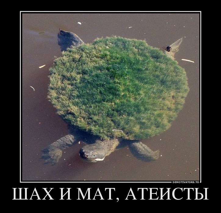 ШАХ И МАТ, АТЕИСТЫ