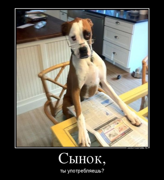 Сынок,