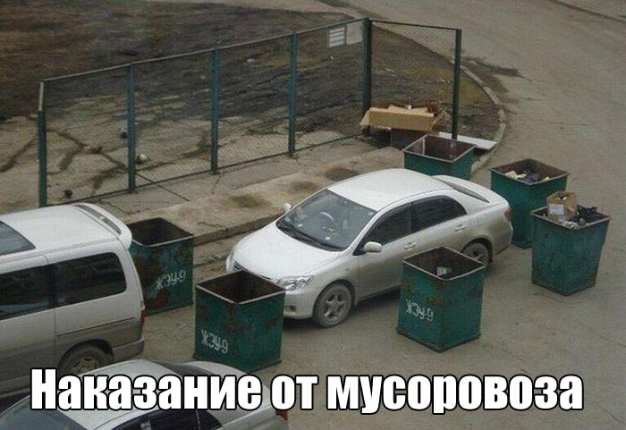 Фото приколы дня