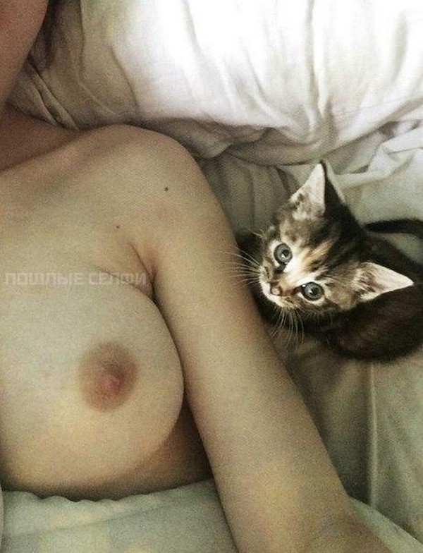 ������ �����