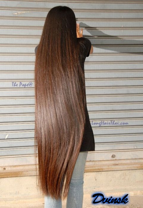 ������������� ������� (58 ����)