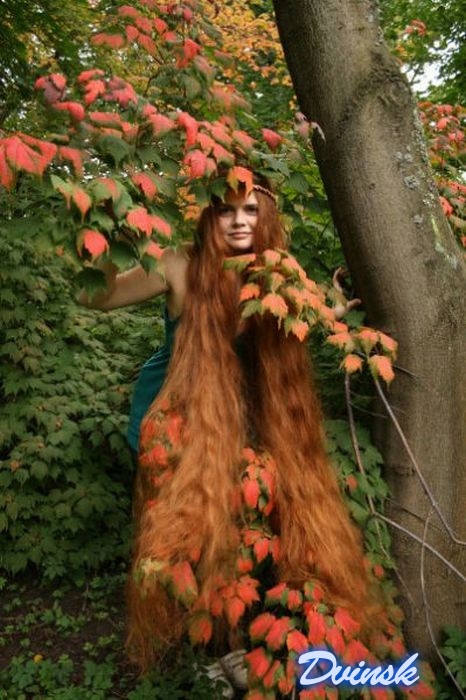 ������������� ������� (58 ����)